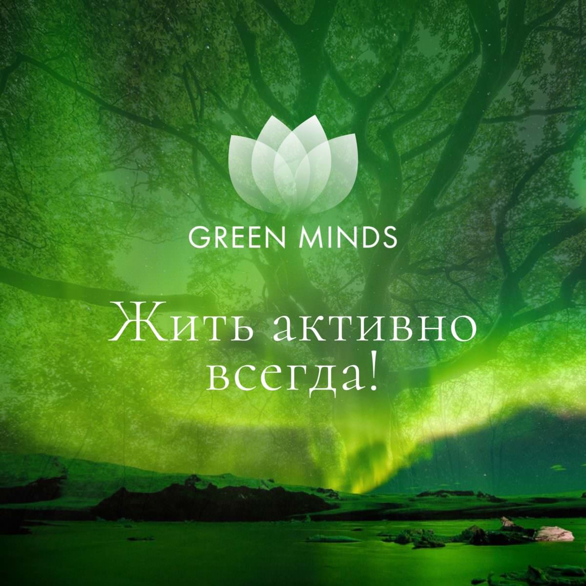 Нейромедитация GREEN MINDS «Жить активно всегда!» по цене 460 руб. - купить  в Озёрах ☛ Доставка ☆ Интернет-магазин «EcoGreenDom»